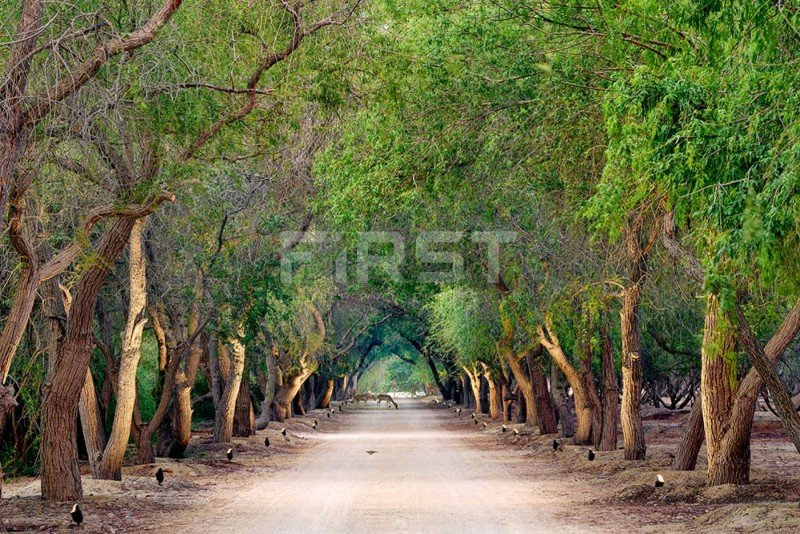 Al Jurf Gradens Entrance
